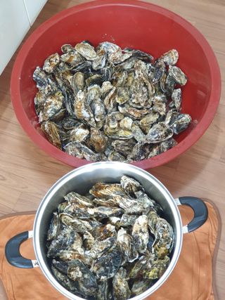 심기정님의 설날, 어떻게 보내시나요? · 참여글 작성글 사진