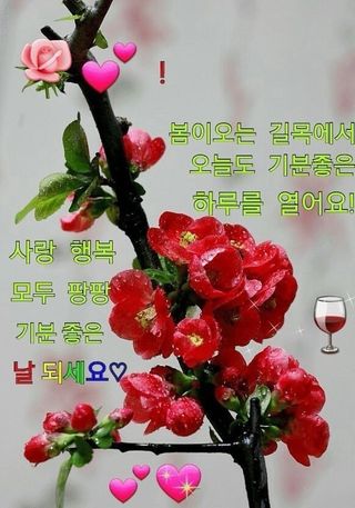 알 수 없음님의 자유주제 · 자유게시판 작성글 사진