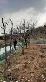 팜모닝 설날, 어떻게 보내시나요?·참여글 게시글 이미지