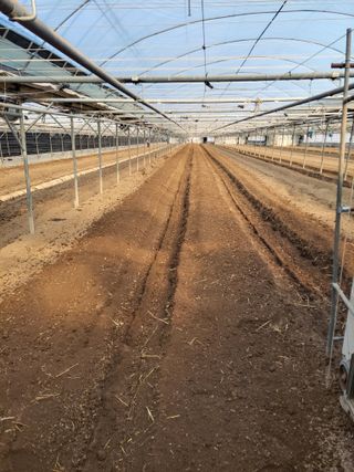 류순년님의 오이 · 자유게시판 작성글 사진