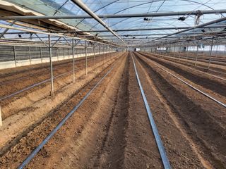 류순년님의 오이 · 자유게시판 작성글 사진