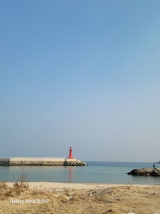 봄봄농원님의 설날, 어떻게 보내시나요? · 참여글 작성글 사진