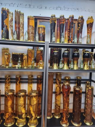 배추12035.부남님의 자유주제 · 자유게시판 작성글 사진