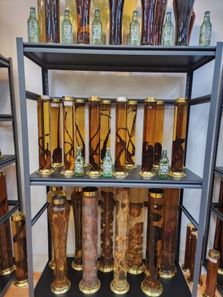 배추12035.부남님의 자유주제 · 자유게시판 작성글 사진