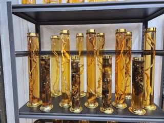 배추12035.부남님의 자유주제 · 자유게시판 작성글 사진