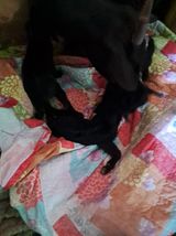 팜모닝 자유주제·사진전 게시글 이미지