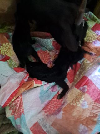 전희분님의 자유주제 · 사진전 작성글 사진