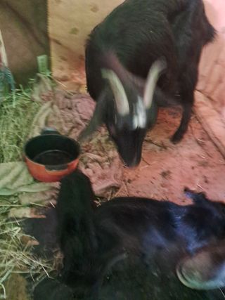 전희분님의 자유주제 · 사진전 작성글 사진