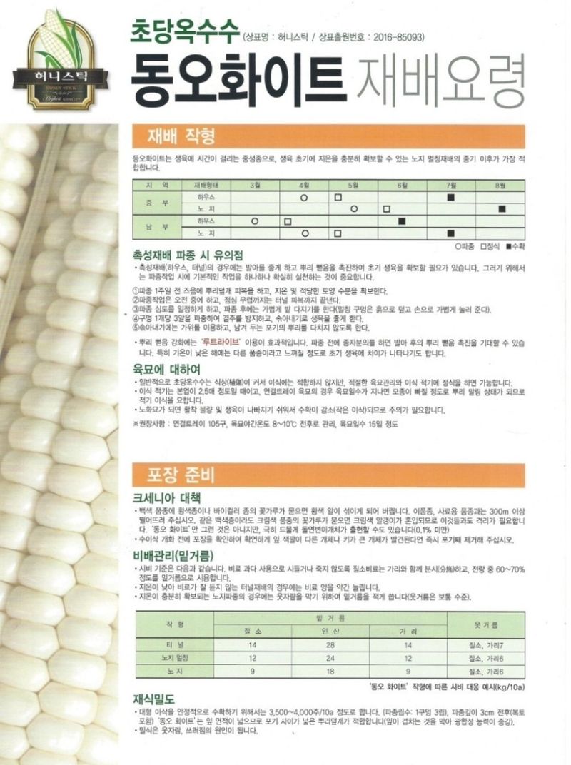 대산농사대장님의 장터 판매 상품 [동오화이트 허니스틱 옥수수 70립] 첨부 사진