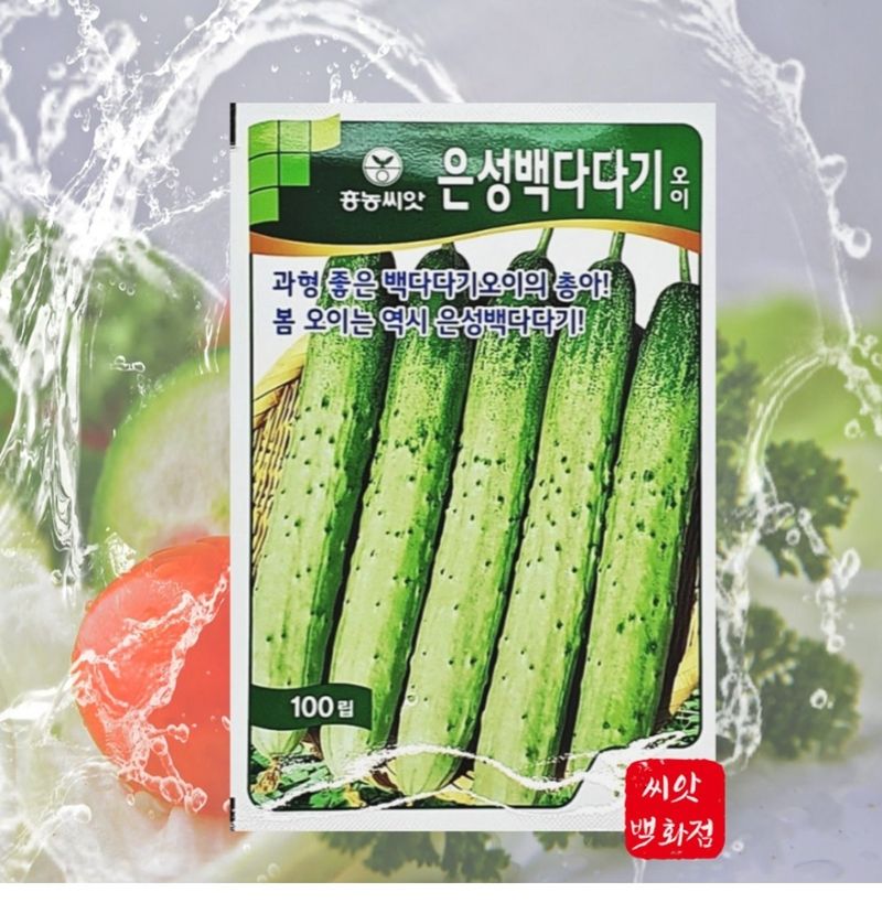 장터 상품 [은성백다다기 오이 100립 고급 오이품종 종자 흥농씨앗BEST] 썸네일