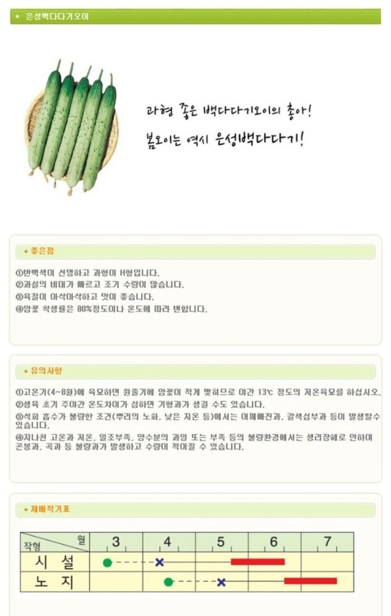 대산농사대장님의 장터 판매 상품 [은성백다다기 오이 100립 고급 오이품종 종자 흥농씨앗BEST] 첨부 사진