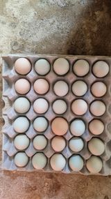 팜모닝 · 게시글 이미지