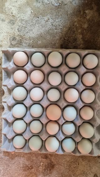 김민철 님의 작성글 사진