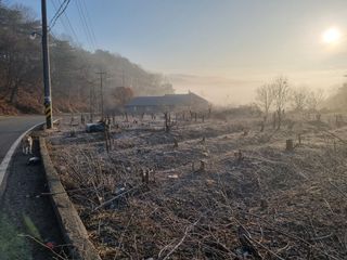 주민진님의 자유주제 · 자유게시판 작성글 사진