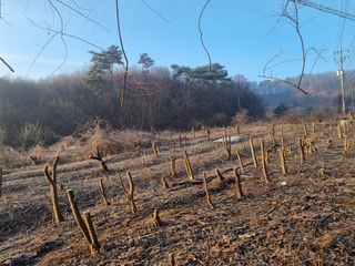 주민진님의 자유주제 · 자유게시판 작성글 사진