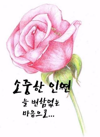 이 성 재님의 설날, 어떻게 보내시나요? · 참여글 작성글 사진
