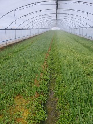 Simws17님의 작성글 사진