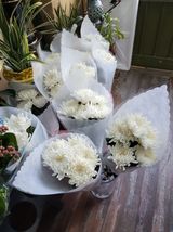 팜모닝 설날, 어떻게 보내시나요?·참여글 게시글 이미지