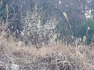 이지환님의 자유주제 · 자유게시판 작성글 사진