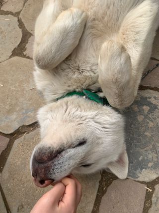 이주환님의 자유주제 · 자유게시판 작성글 사진