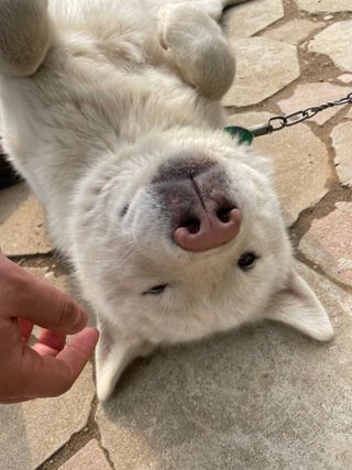 이주환님의 자유주제 · 자유게시판 작성글 사진