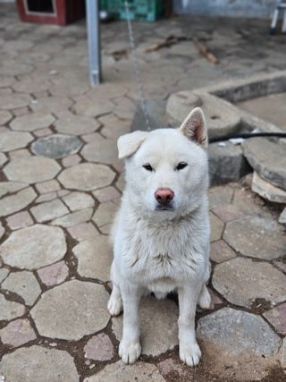 이주환님의 자유주제 · 자유게시판 작성글 사진