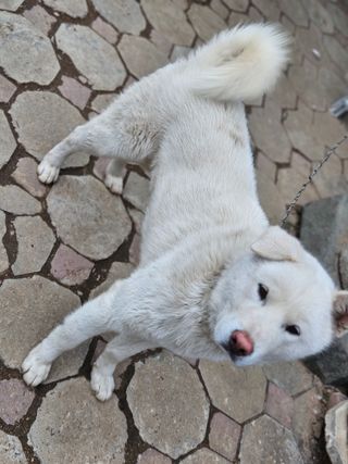 이주환님의 자유주제 · 자유게시판 작성글 사진