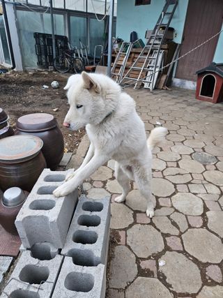 이주환님의 자유주제 · 자유게시판 작성글 사진