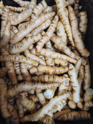 둥근마지기님의 기타작물 · 자유게시판 작성글 사진