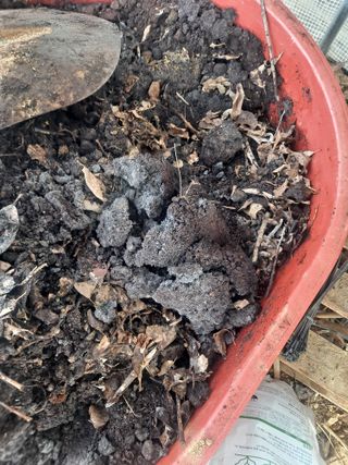 제라늄님의 설날, 어떻게 보내시나요? · 참여글 작성글 사진