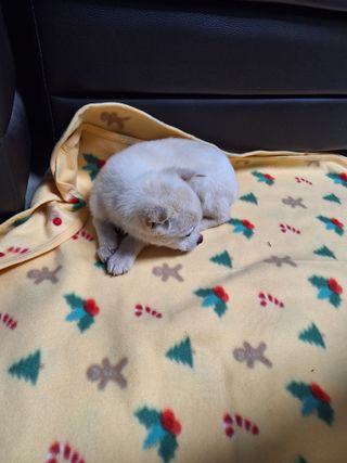 길가다우연히님의 자유주제 · 자유게시판 작성글 사진