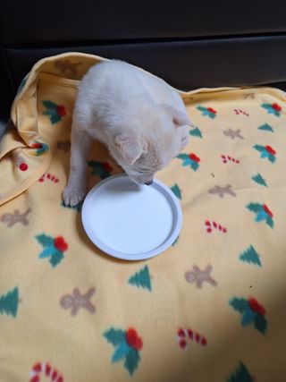 길가다우연히님의 자유주제 · 자유게시판 작성글 사진