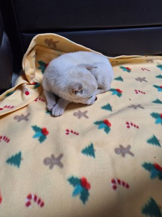 길가다우연히님의 자유주제 · 자유게시판 작성글 사진