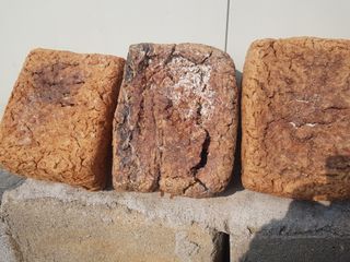 박귀님의 자유주제 · 자유게시판 작성글 사진