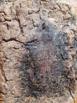 박귀님의 자유주제 · 자유게시판 작성글 사진