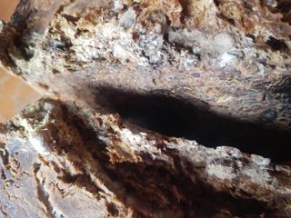 박귀님의 자유주제 · 자유게시판 작성글 사진