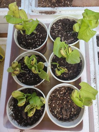 자생님의 자유주제 · 자유게시판 작성글 사진