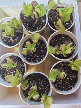 자생님의 자유주제 · 자유게시판 작성글 사진