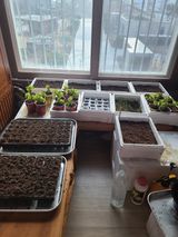 팜모닝 자유주제·자유게시판 게시글 이미지