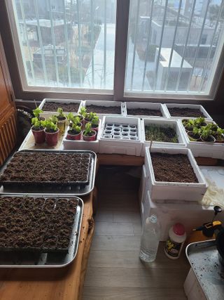 자생님의 자유주제 · 자유게시판 작성글 사진