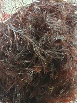 팜모닝 설날, 어떻게 보내시나요?·참여글 게시글 이미지