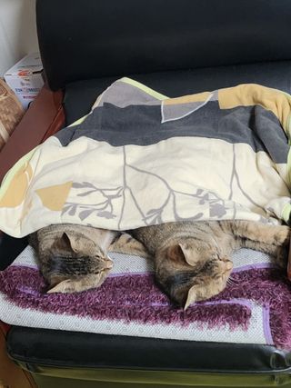 배주원님의 자유주제 · 자유게시판 작성글 사진