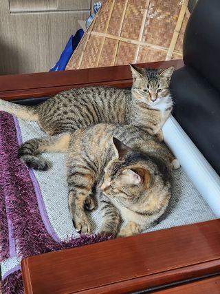 배주원님의 자유주제 · 자유게시판 작성글 사진