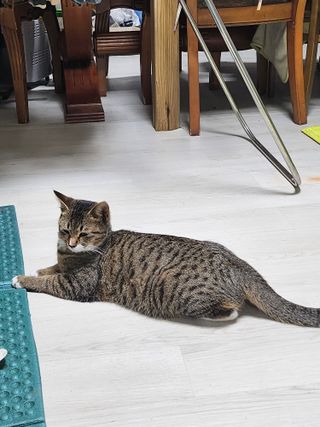 배주원님의 자유주제 · 자유게시판 작성글 사진