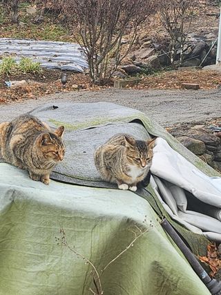 배주원님의 자유주제 · 자유게시판 작성글 사진