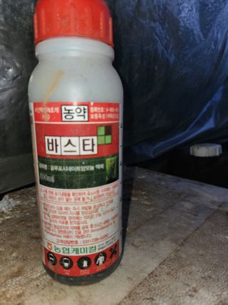 유덕균님의 고추 · 영농일지 작성글 사진