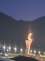 팜모닝 설날, 어떻게 보내시나요?·참여글 게시글 이미지