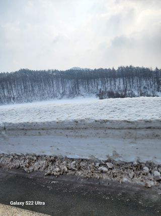 감자님의 설날, 어떻게 보내시나요? · 참여글 작성글 사진