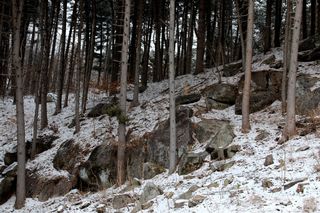 정경희님의 농사, 무엇이든 물어보세요! · 참여글 작성글 사진