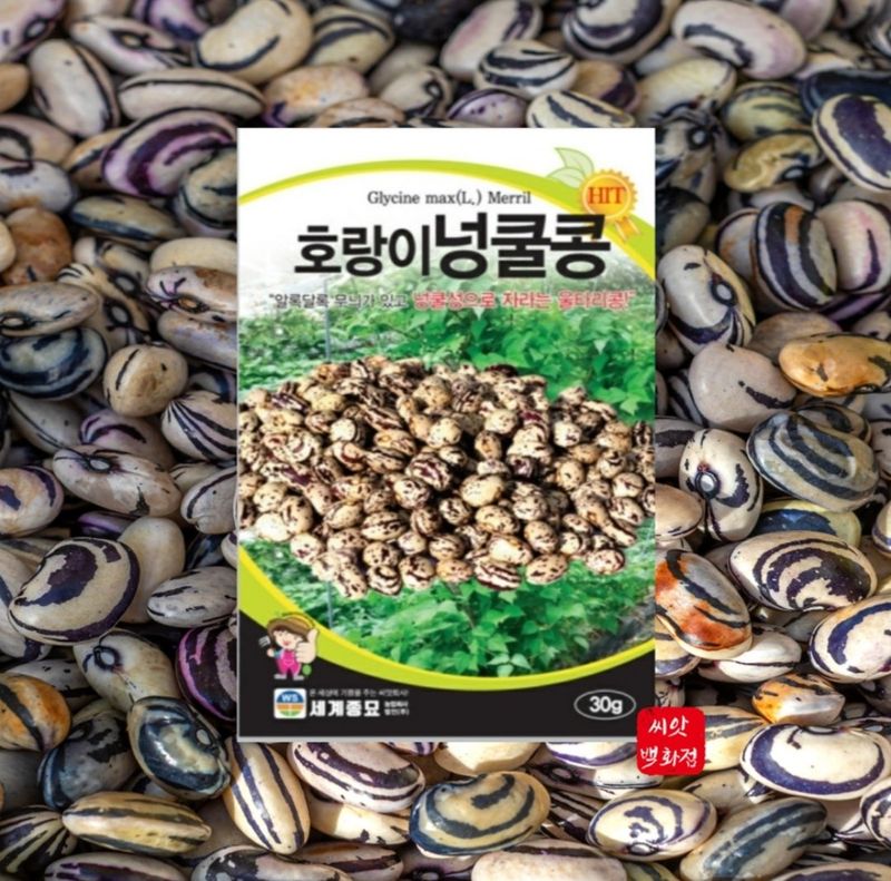 장터 상품 [호랑이넝쿨콩30g] 썸네일